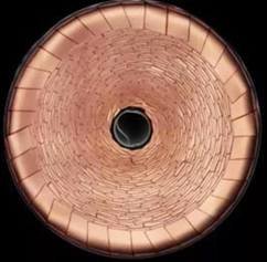 1659491701169482.png image.png