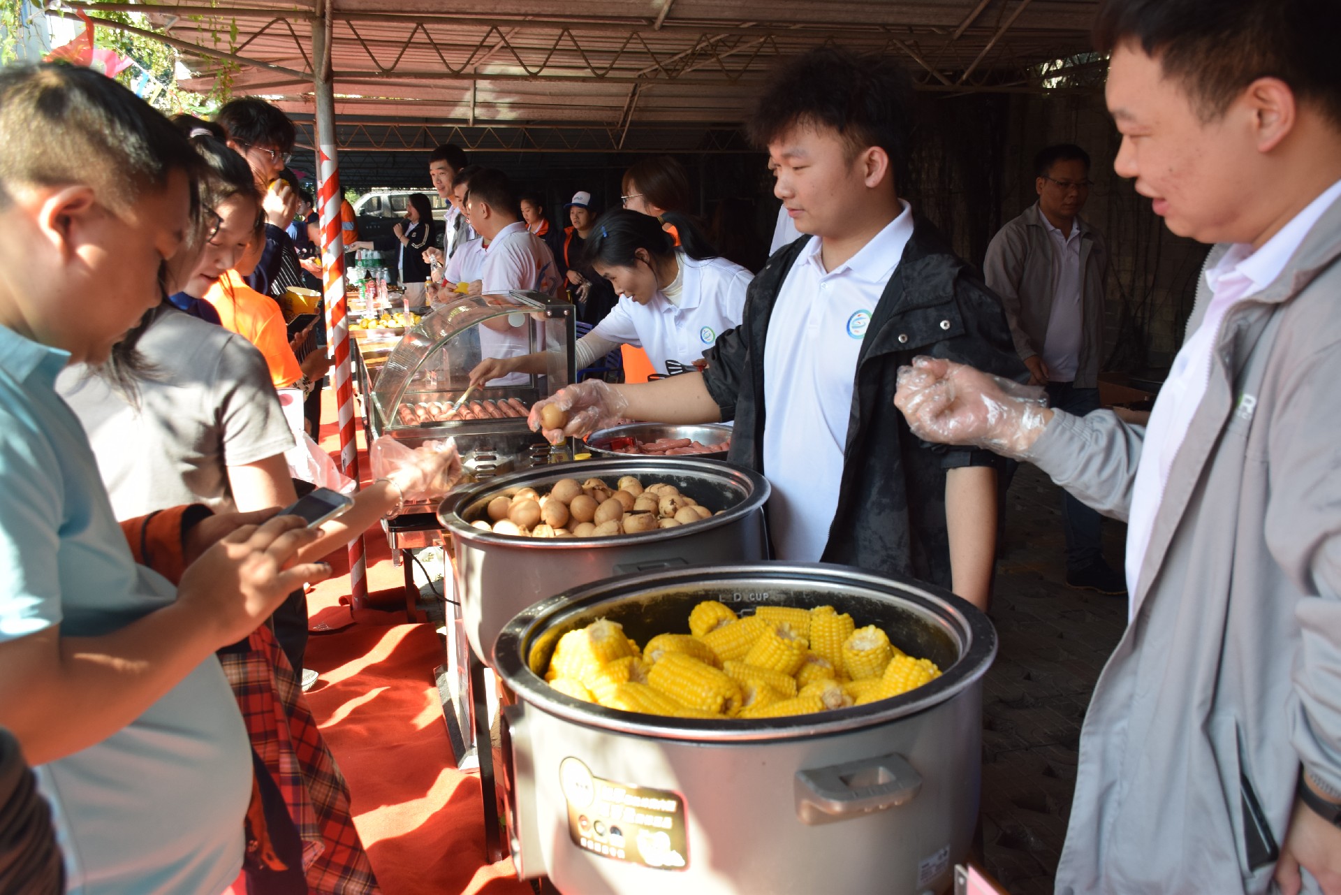 1734573721805720.jpg DSC_0103.JPG